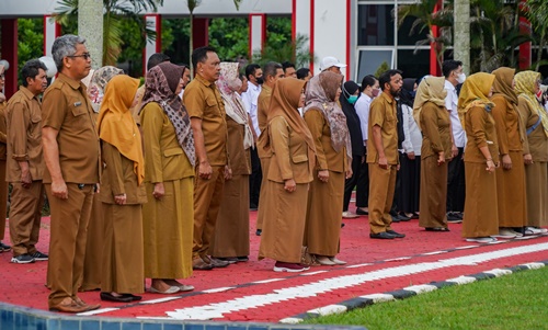 Tenaga Honorer 5 Tahun Kerja Harus Diangkat Pppk Tanpa Tes