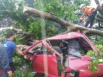 Bogor Dihantam Puting Beliung, Satu Orang Meninggal