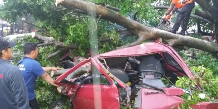 Bogor Dihantam Puting Beliung, Satu Orang Meninggal