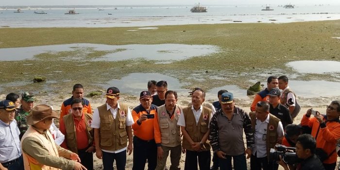 Hutan Pantai Dapat Kurangi Risiko Bahaya Tsunami