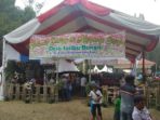 Selama Festival Bunga-Buah, Omset Petani Bunga Naik