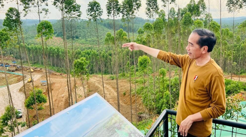 Presiden Joko Widodo meninjau lokasi Istana Presiden di IKN. Foto BPMI Setpres.