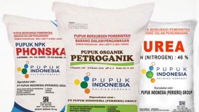 Pemerintah Hanya Mampu Anggarkan 8-9 Ton Subsidi Pupuk