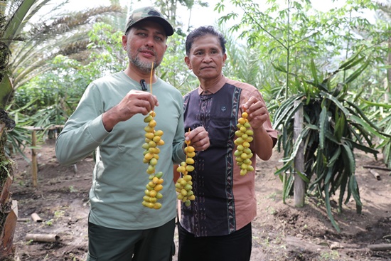 Wagubsu Musa Rajekshah (Ijeck) bersama Bena Ukur Tarigan. Foto infosumut.id.