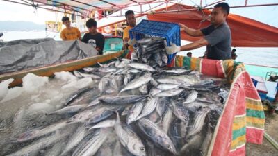 Kementerian Kelautan dan Perikanan menerbitkan surat edaran tahapan jelang pemberlakuan penuh kebijakan penangkapan ikan terukur pada 2024. Foto kkp.go.id.