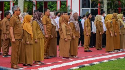 Tenaga Honorer 5 Tahun Kerja Harus Diangkat PPPK Tanpa Tes