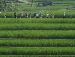 Aneka Side Event dalam World Water Forum ke-10 di Nusa Dua