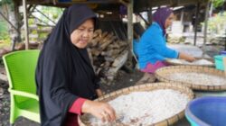 Ikan teri nasi yang diolah Poklashar Melati 1 berlokasi di Kalianda, Kab. Lampung Selatan. Foto Dok. KKP.