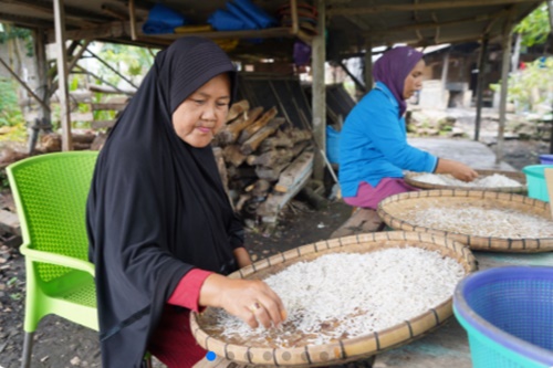 Ikan teri nasi yang diolah Poklashar Melati 1 berlokasi di Kalianda, Kab. Lampung Selatan. Foto Dok. KKP.