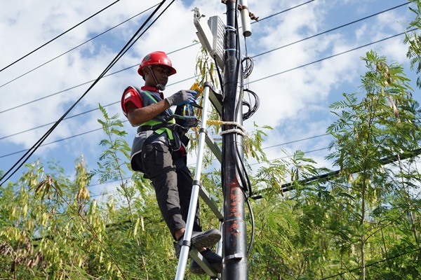 PT Telkom Akses mengimbau masyarakat melaporkan pencurian kabel Telkom.